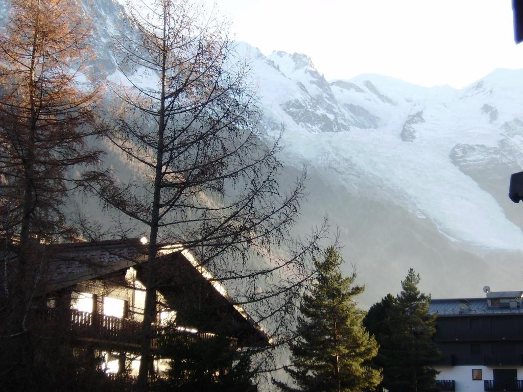 Studio Les Drus / Studio Du Brevent Chamonix Eksteriør billede