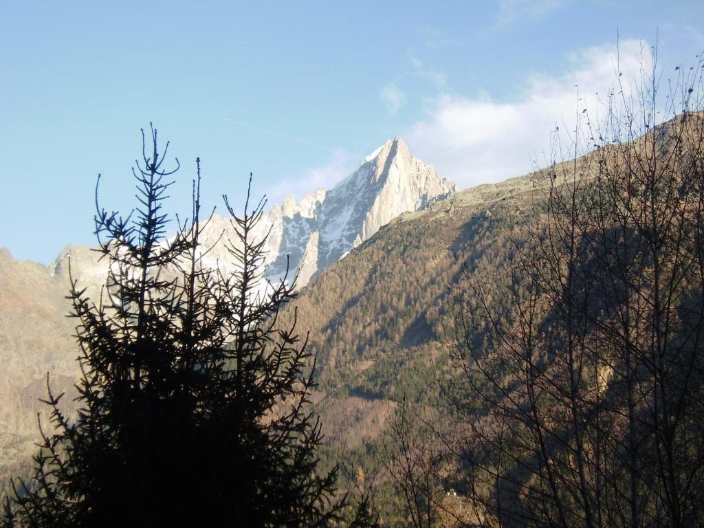 Studio Les Drus / Studio Du Brevent Chamonix Værelse billede