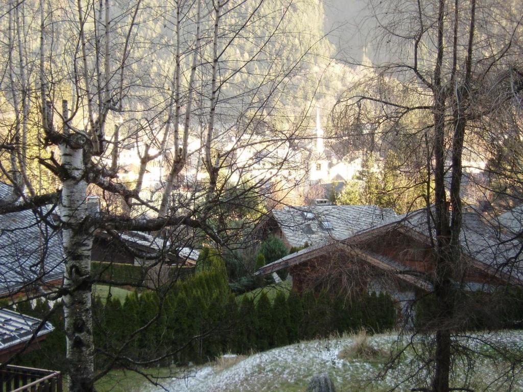 Studio Les Drus / Studio Du Brevent Chamonix Værelse billede