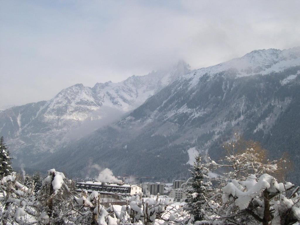 Studio Les Drus / Studio Du Brevent Chamonix Værelse billede